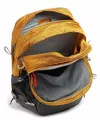 cumpără Rucsac pentru oraș Osprey Nebula 32 golden hour yellow/grey în Chișinău 