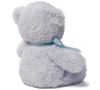 cumpără Jucărie de pluș Baby Gund 6055514 My 1st Teddy Blue 38cm în Chișinău 