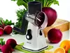 купить Терка кухонная Delimano Primera Drum Grater (110077172) в Кишинёве 