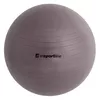 cumpără Minge inSPORTline 8617 Minge gimnastica d=55 cm cu pompa 3909 în Chișinău 