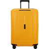 cumpără Valiză Samsonite Essens 69/25 (146911/4702) în Chișinău 