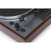 купить Проигрыватель виниловый Thorens TD 102 A AT-VM95E RIAA в Кишинёве 