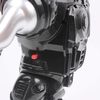 cumpără Robot Richi R23A /34 (98363) în Chișinău 