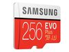 купить 256GB Samsung EVO Plus MB-MC256GA/RU microSDXC (Class 10 UHS-I) with Adapter, Read:up to 100MB/s, Write:up to 90MB/s (card de memorie/карта памяти) в Кишинёве 