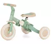 купить Велосипед-коляска Petite&Mars 613480 Tricicleta evolutiva 5in1 Turbo Limited Edition Green Twist в Кишинёве 