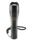 купить Фонарь Hama 228620 W200 LED Torch, Batteries, Zoom, COB, Aluminium, 3 Modes в Кишинёве 