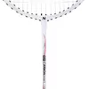 cumpără Echipament pentru badminton miscellaneous 6469 Paleta badminton Abisal NR305 Carbon 14-00-326 în Chișinău 