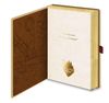 cumpără Carnet Pyramid International SR2501426 HARRY POTTER (MARAUDERS MAP) LUXE SLIDER în Chișinău 