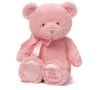 cumpără Jucărie de pluș Baby Gund 6055510 My 1st Teddy Blue 25cm în Chișinău 