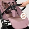 cumpără Сărucior pentru copii Lionelo Sia Pink Rose în Chișinău 