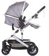 купить Детская коляска Chipolino 2 in 1 Estelle glacier KKES02303GL в Кишинёве 