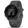 купить Смарт часы Garmin Forerunner 245 Grey в Кишинёве 