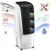 купить Охладитель воздуха Trotec Aircooler PAE 51 в Кишинёве 