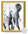 cumpără Tablou pe numere Art Gallery GA77785 Mozaic cu diamante 40x50cm Elefant în Chișinău 