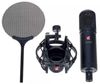 купить Микрофон SE Electronics SE 2200 в Кишинёве 