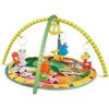 cumpără Covoraș de joacă Hola Toys 665525 covoras in set cu zornaitoare în Chișinău 