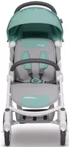 купить Детская коляска Easy Go Minima 2019 Basil Green в Кишинёве 