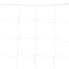 Сетка для футбола / гандбола (2 шт.) PE 2 мм, 2x3x1 м, 10x10 мм C-5639 (8114) 