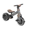 cumpără Bicicletă-cărucior Kikka Boo 31006020164 Tricicleta 5in1 Flash Grey în Chișinău 
