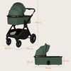 купить Детская коляска Lionelo Carucior 2in1 Layla Green Forest в Кишинёве 