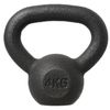 купить Гантель HMS 1475 Gantera Vin-Bell otel KZG 4kg в Кишинёве 