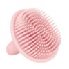 cumpără Accesoriu pentru baie Canpol 9/115_pin силиконовая щетка для купания în Chișinău 