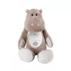 купить Ночной светильник Kaichi KAYPIL025KA312 Hippo, игрушка-проектор муз. в Кишинёве 