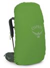 купить Туристический рюкзак Osprey Kestrel 68 Moss Green S/M (810165746886) в Кишинёве 