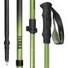 cumpără Bețe pentru trekking Spokey Terra, палки для скандинавской ходьбы (944825) în Chișinău 