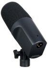 купить Микрофон SE Electronics DynaCaster DCM 3 в Кишинёве 