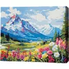 cumpără Tablou pe numere BrushMe MG0013FC 40х50cm (fără cutie) Flori la poalele munților în Chișinău 