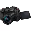 купить Фотоаппарат беззеркальный Panasonic Lumix DC-GH5M2LEE в Кишинёве 