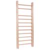 купить Турник inSPORTline 7600 Spalier perete suedez 240*80 cm DG8240x80 Gym Ladder 14b. в Кишинёве 