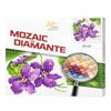 купить Картина по номерам Art Gallery BJ313 Mozaic cu diamante 20x20cm Buchetel minimalist в Кишинёве 