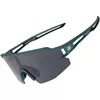 купить Защитные очки Rockbros 10177 Ochelari de soare pentru ciclism polarizati в Кишинёве 