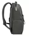 купить Рюкзак для ноутбука Samsonite Karissa Evo (151684/6207) в Кишинёве 