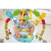 купить Детское кресло-качалка Fisher Price CHN38 Портативное кресло-качалка Джунгли в Кишинёве 