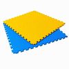 cumpără Saltea sportivă 4Play AT120 Yellow-Blue 100x100x2.5cm în Chișinău 