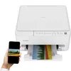 купить МФУ Canon Pixma TS4140I (7181C007) в Кишинёве 