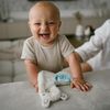 cumpără Jucărie de pluș BabyOno 1555/02 Лама Lulu, игрушка-шуршалка în Chișinău 
