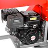 купить Измельчитель веток Hecht 6645 Tocator de crengi benzina (843680900) в Кишинёве 