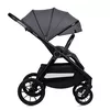 купить Детская коляска Lionelo Carucior 2in1 Layla Grey Stone в Кишинёве 