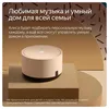 cumpără Boxă portativă Bluetooth Yandex YNDX-00025B Alisa Station Lite Beige Cappucino în Chișinău 