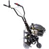 cumpără Motocultor Technoworker 173 S în Chișinău 