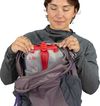 купить Туристический рюкзак Osprey Hikelite 28 Graphite Purple (810165747685) в Кишинёве 