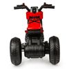 купить Электромобиль Golden Baby QLS-806 Motocicleta electrica, rosie, cod GB2263 в Кишинёве 