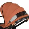 купить Детская коляска Lionelo Carucior 2in1 Layla Brown Rust в Кишинёве 