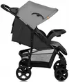 купить Детская коляска Lionelo Emma Plus Grey Dove в Кишинёве 
