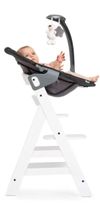 cumpără Leagăn pentru bebeluși Hauck Alpha Bouncer 2in1 Deluxe Melange Grey în Chișinău 