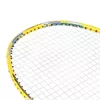 cumpără Echipament pentru badminton Nils 6465 Paleta badminton Abisal NR419 Carbon 14-00-327 în Chișinău 